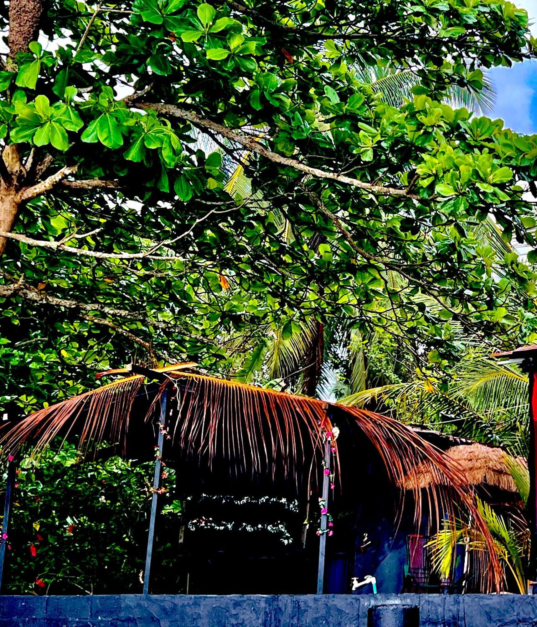 Beachfront Paradise Manuel Antonio Eksteriør bilde