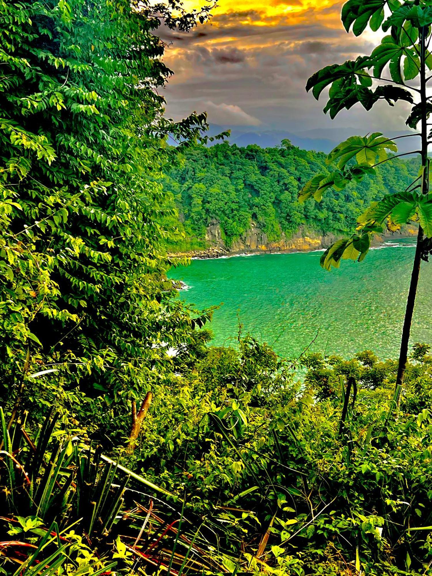 Beachfront Paradise Manuel Antonio Eksteriør bilde