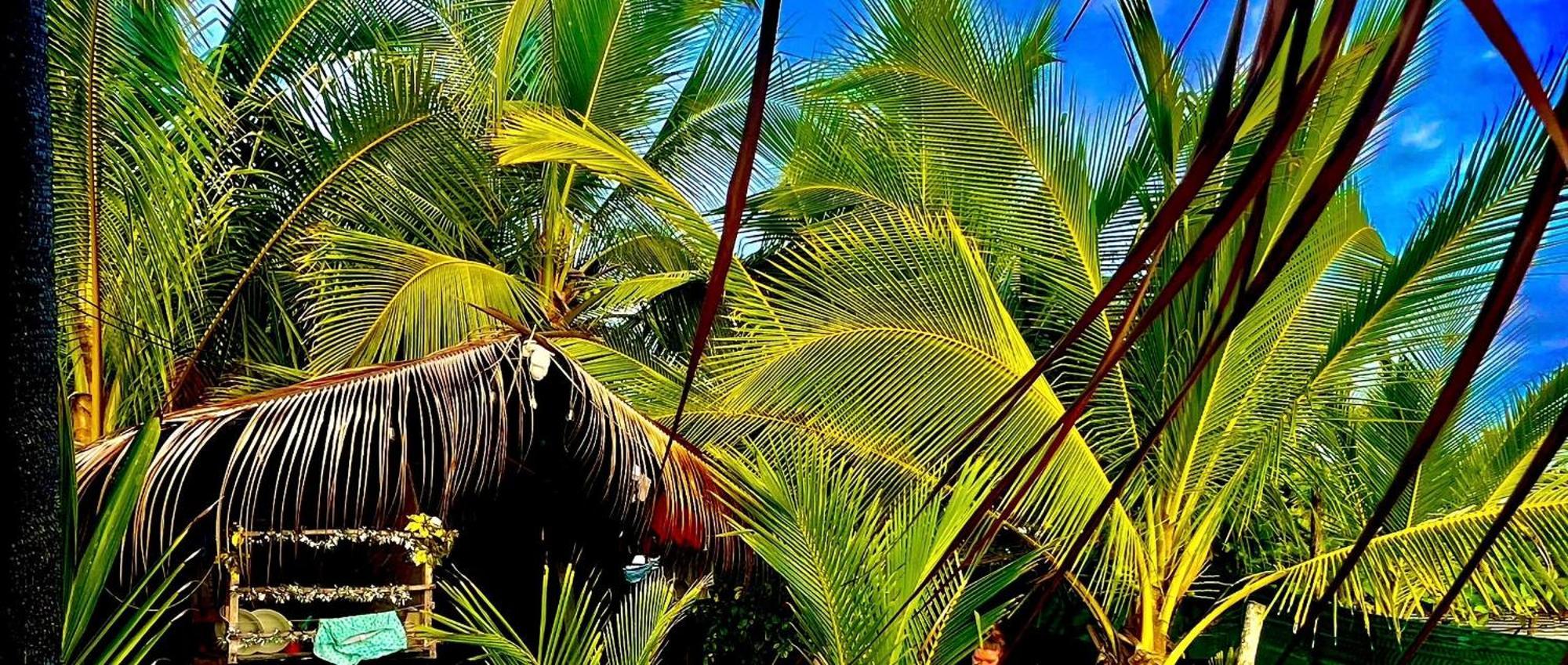 Beachfront Paradise Manuel Antonio Eksteriør bilde