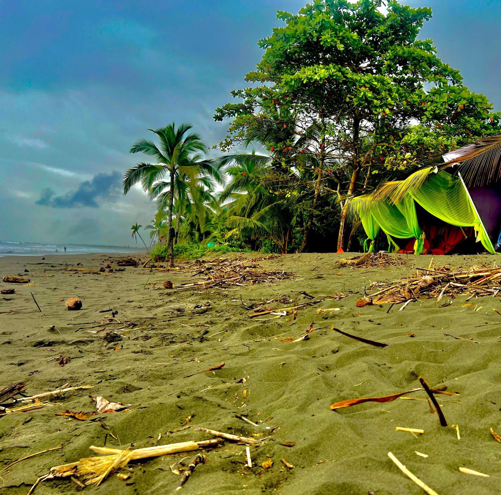 Beachfront Paradise Manuel Antonio Eksteriør bilde