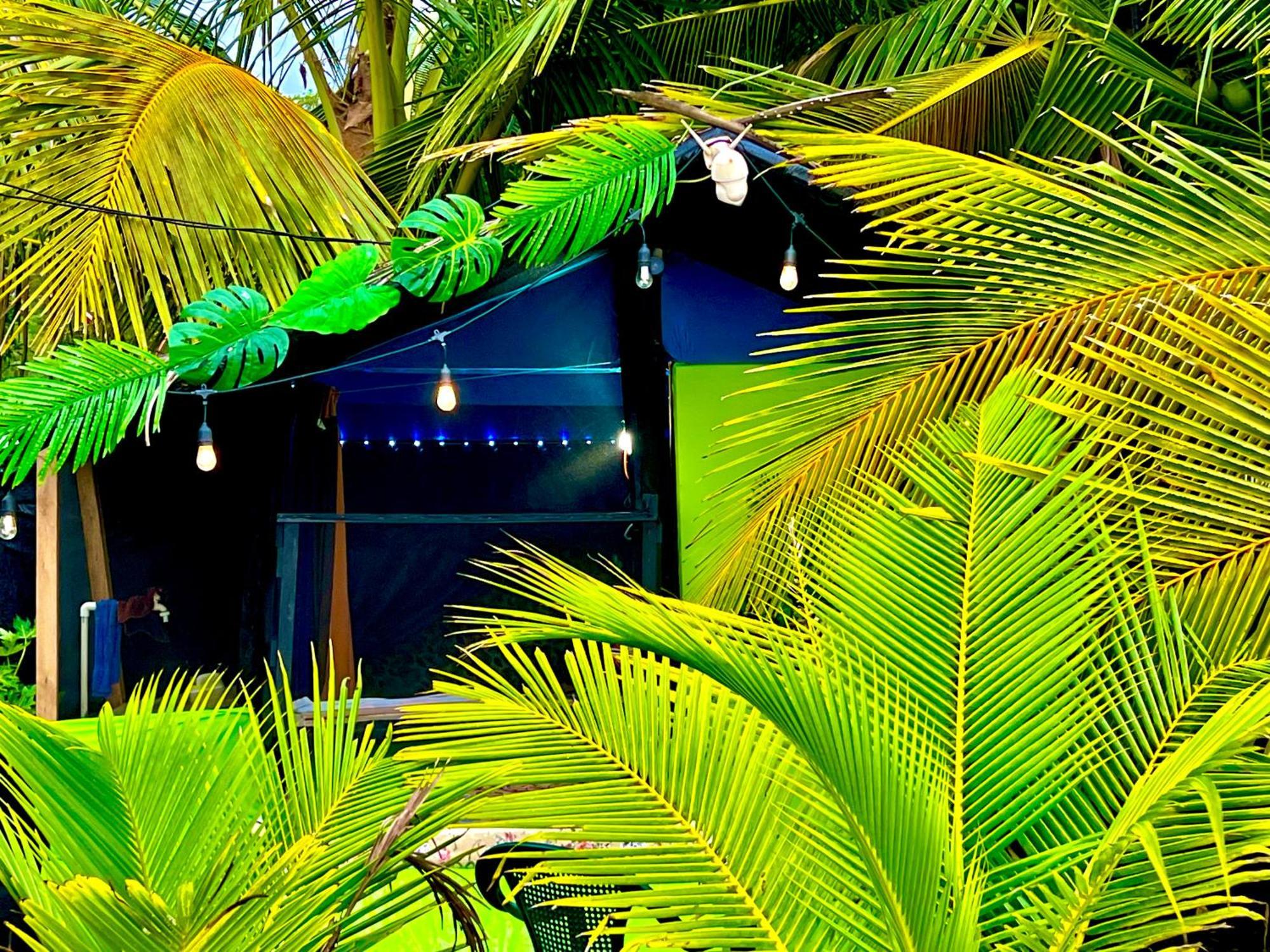 Beachfront Paradise Manuel Antonio Eksteriør bilde